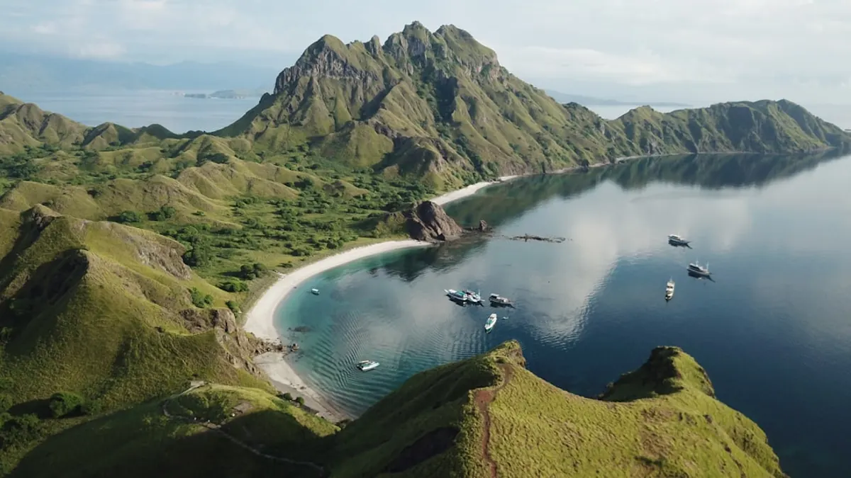 A brief history of Komodo National Park and its conservation status